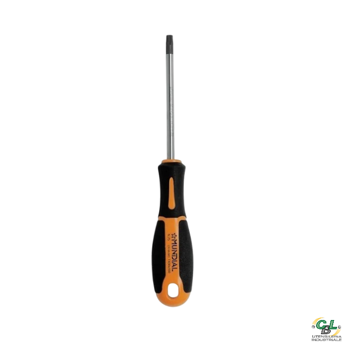 MUNDIAL GIRAVITE PER VITI TAMPER RESISTANT TORX TX 45x125 mm